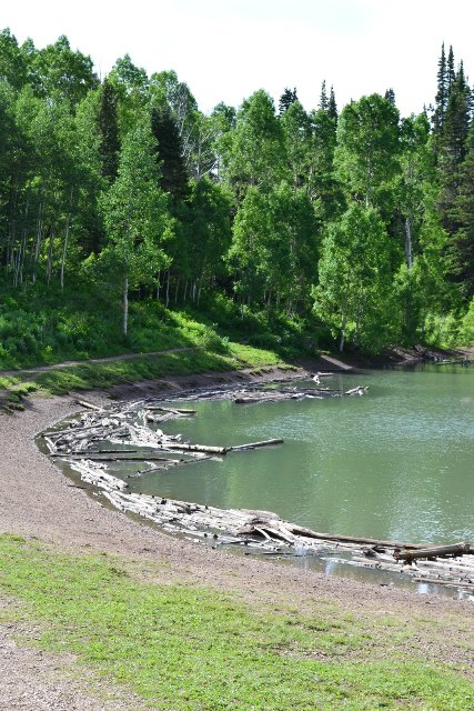 Dog Lake